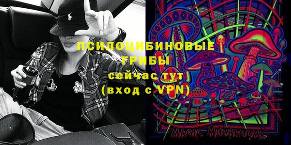 эйфоретик Аркадак