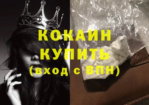 гашик Няндома
