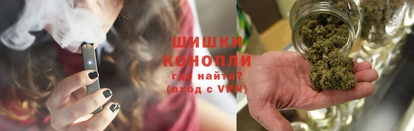 ешки Арсеньев