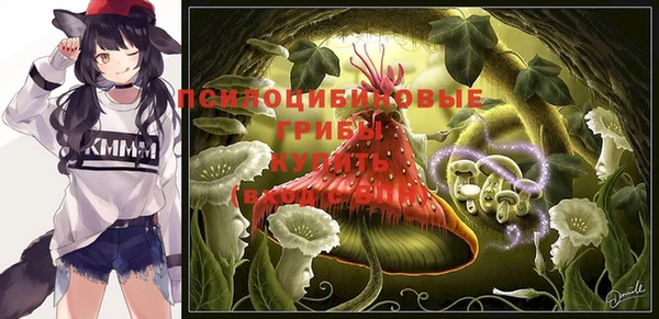ешки Арсеньев