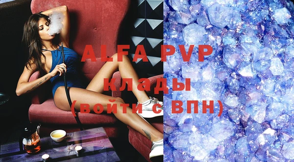 эйфоретик Аркадак
