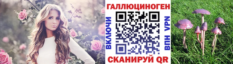 Псилоцибиновые грибы мухоморы  Полевской 